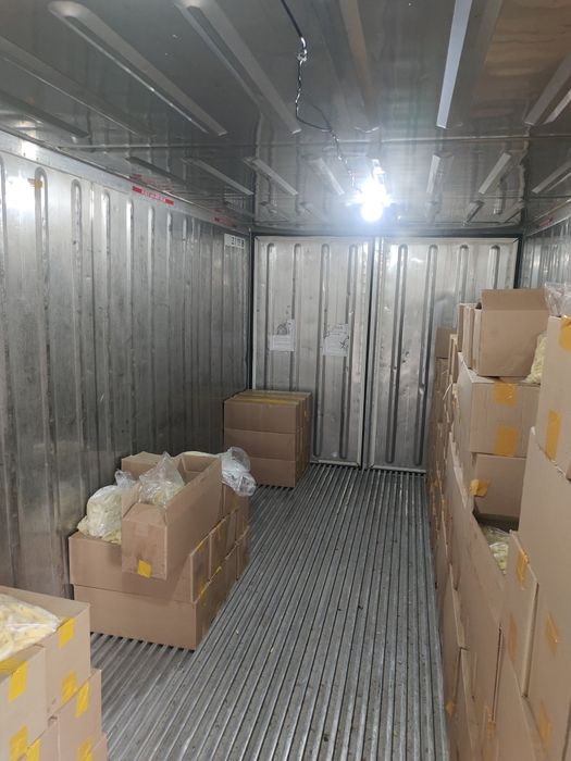 Контейнер морозильный