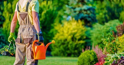 Услуги садовника, уборка территории, обслуживание территории
