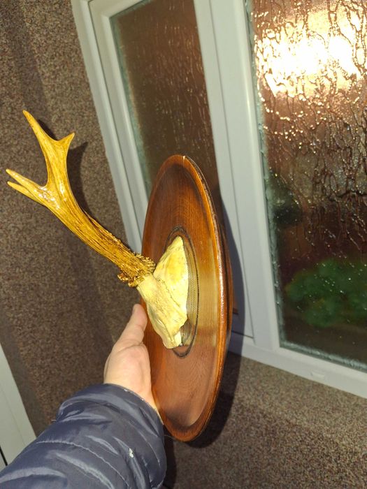 Рога за декорация