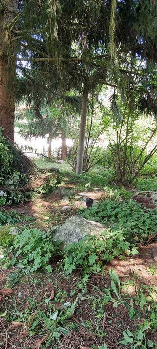 Продава се Парцел в с. Мала църква, Област София-област - 589 кв.м за 96 €/кв.м - Снимка #3