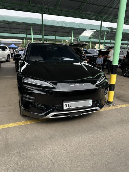 BYD Song Plus EV Champion 2024