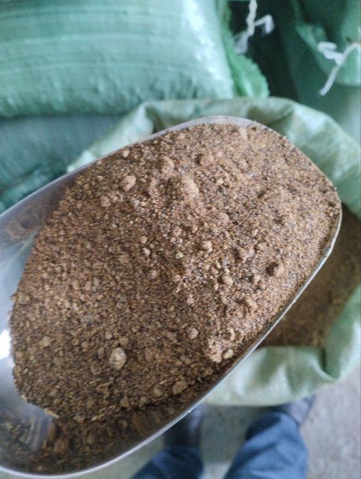 Raps va semechka shroti