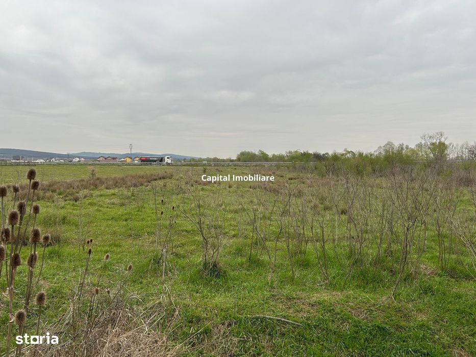 Teren 3372 mp, Târgu-Jiu, Centură