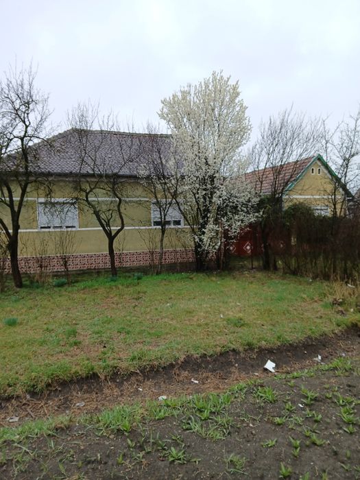 Imobil+ teren de vanzare