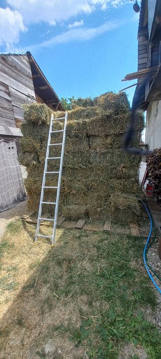 Vand baloti lucerna 2025