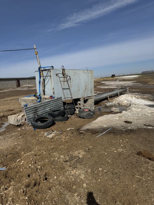 Фазенда ірі қара жылқы малымен