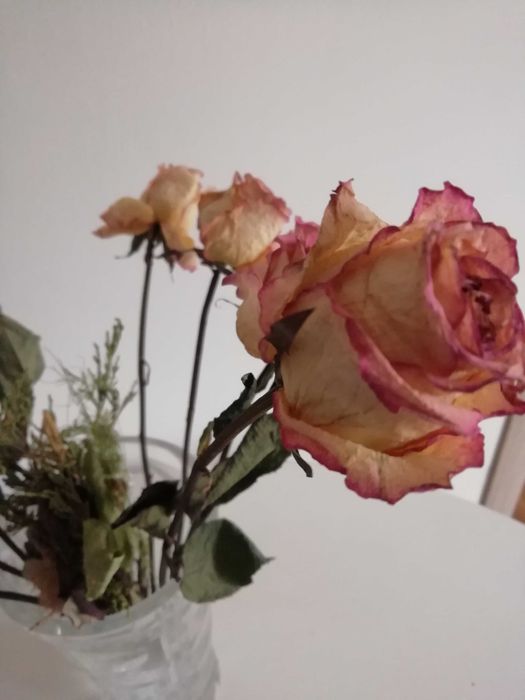 Сухоцветы розы  нитки полипропиленовые прочные фермуар колечки ремень