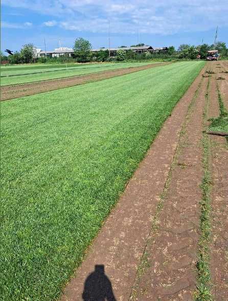 Gazon rulou Insamantare si sisteme de irigatii