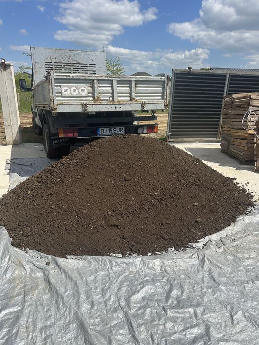 Balegar Cernut Pamant negru vegetal Cernut Mranita