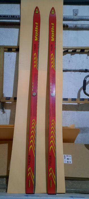 Лыжи для катания