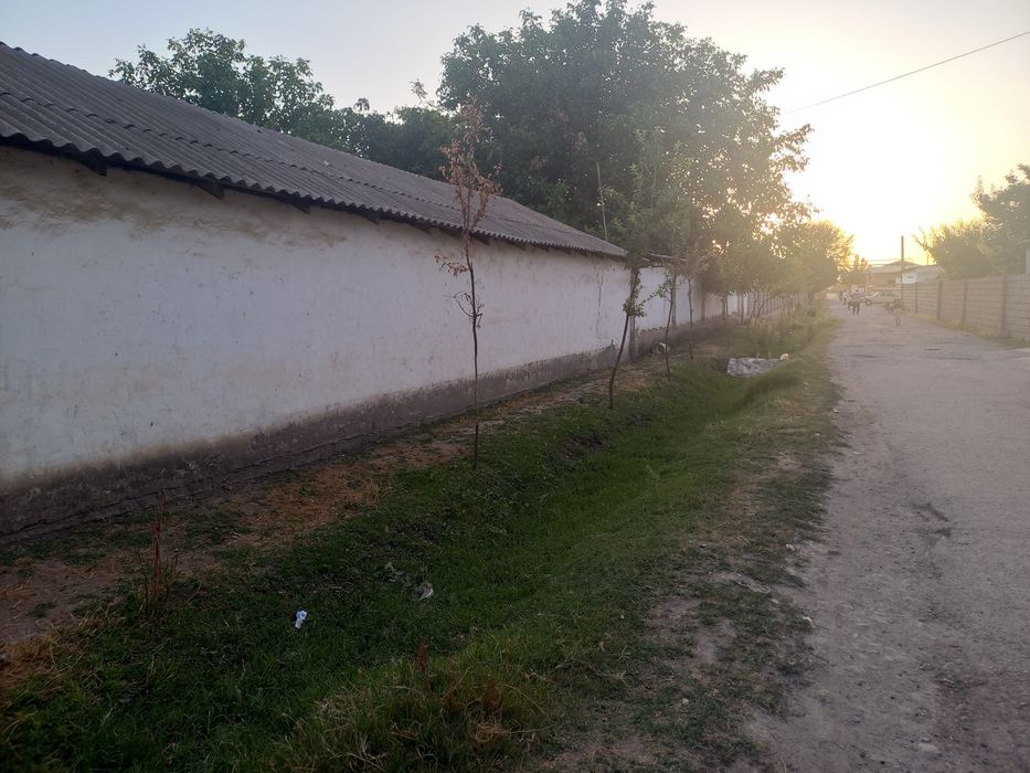 2 sotih er sotiladi bir sotih 11000 dan