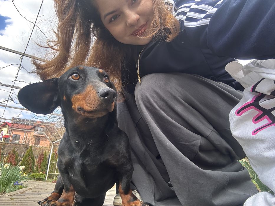 Plimbare caini Giulesti Crangasi / Dog walker / Plimb caini