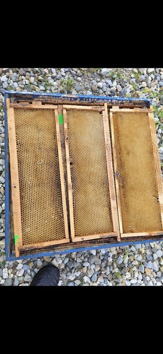 Vând rame 1/2 600 buc pret 8 lei/buc negociabil la toata cantitatea
Pr