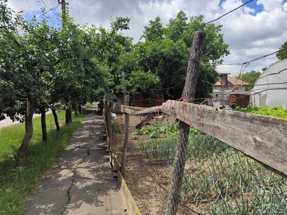 Vând loc de casă în loc Carei - Vedere 5