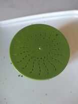 Земен червей за риболов