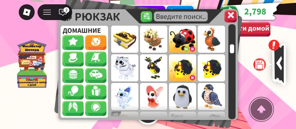 Продам петов в адопт