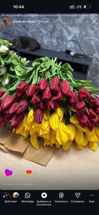 Тюльпаны 8 марта