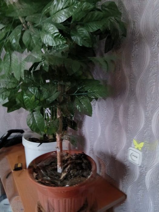 Продам искусственное дерево