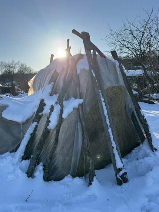 Vând baloți fân și lucernă
