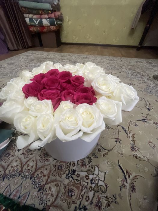 Роза гул 51 шт свежи