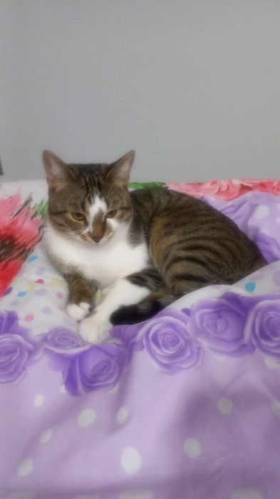 продавец атырау 26