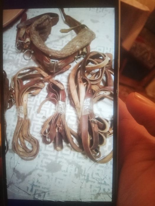 Продам сбруя и 2 седла