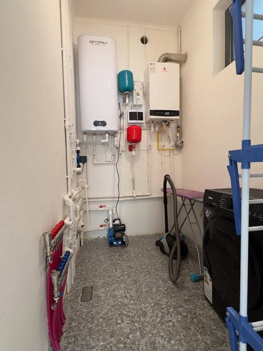 Pentxaus xovli kotej