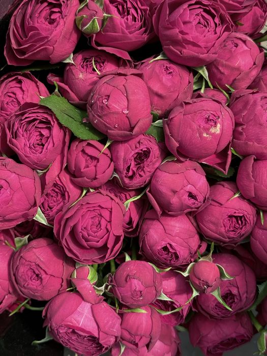 Свежие пышные букеты