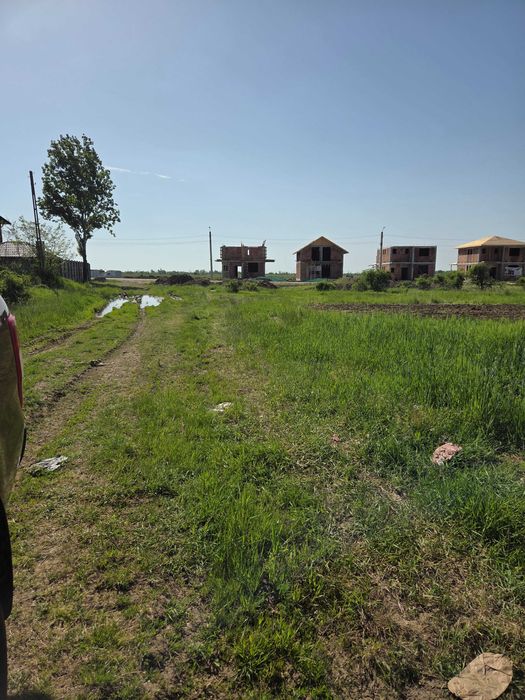 Teren intravilan de vanzare Bradu