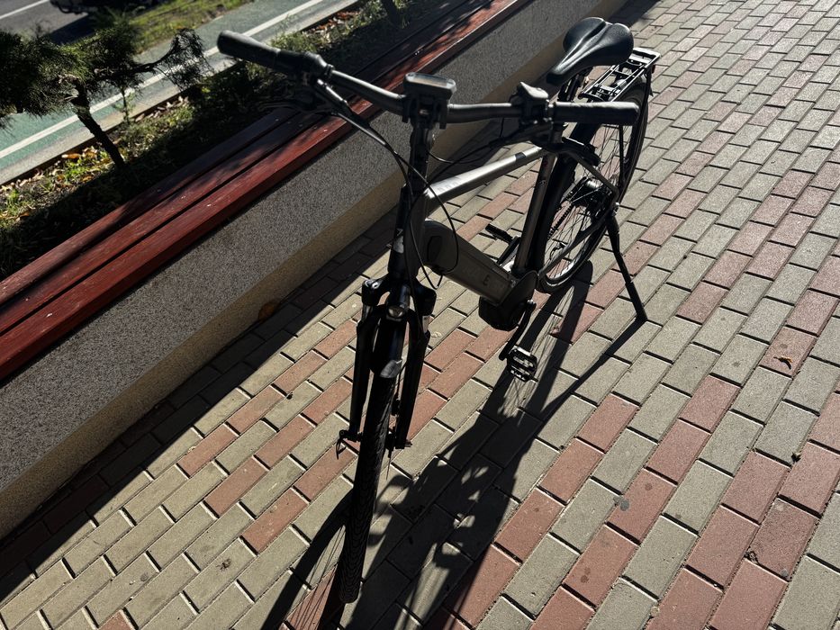 Bicicleta Raleigh Marimea L-53cm