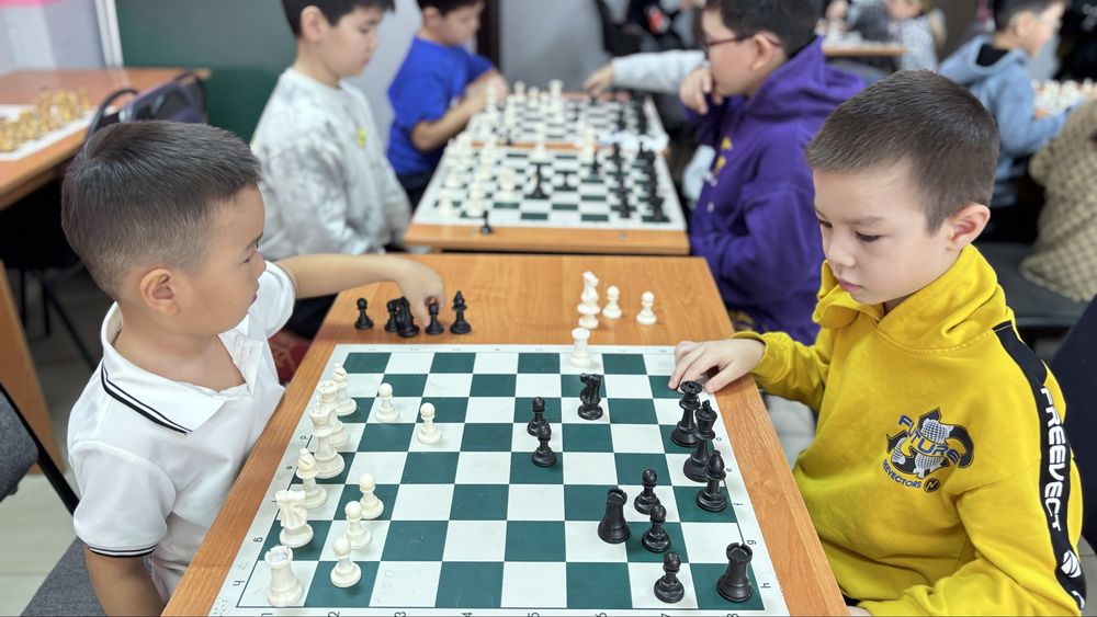 Шахматы для детей