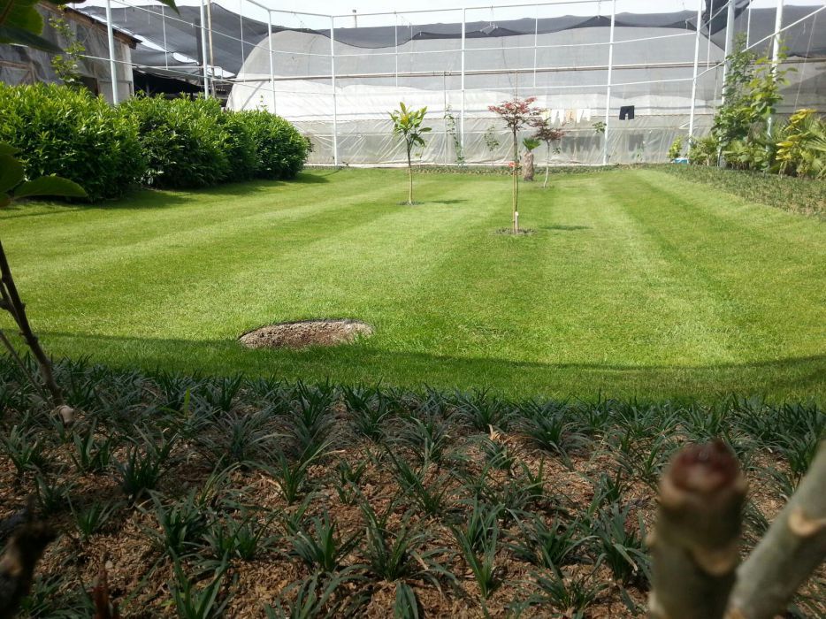 Газонокосилка аккумуляторная