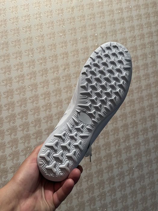 Сороконожки новые