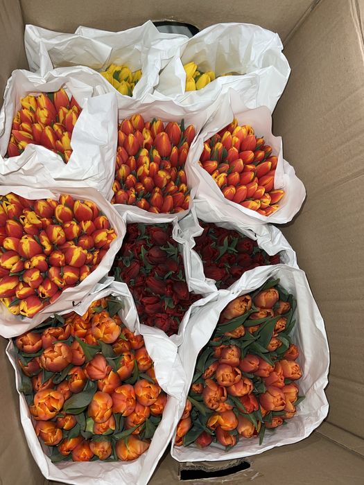 Тюльпаны оптом и в розницу клубника в шоколаде