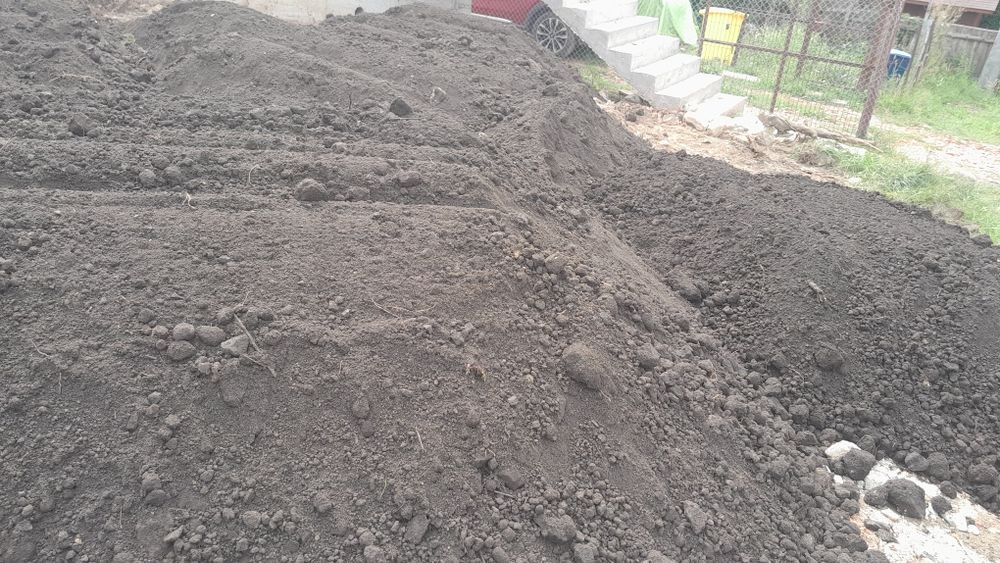 Pamant negru pentru gazon