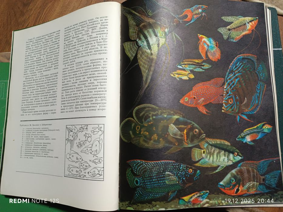 Книги Жизнь Животных 6томов