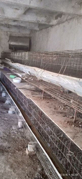 Tovuq boqish uchun setklar