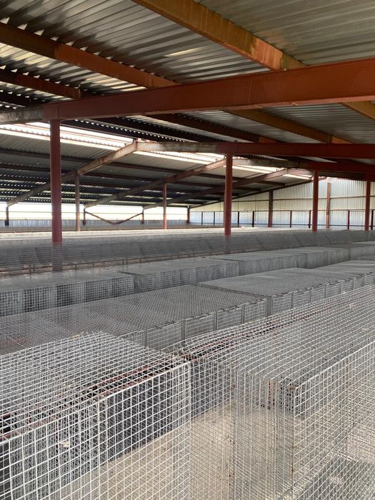 Ангар 3000 кв. М на разбор