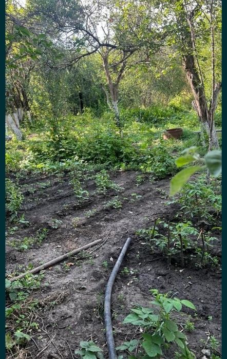 Срочно продам дачу в Текели