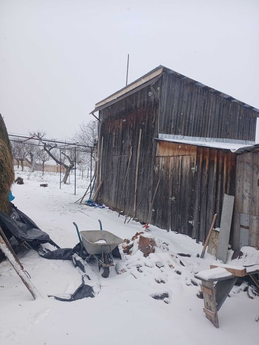 super oferta fan lucerna vrac