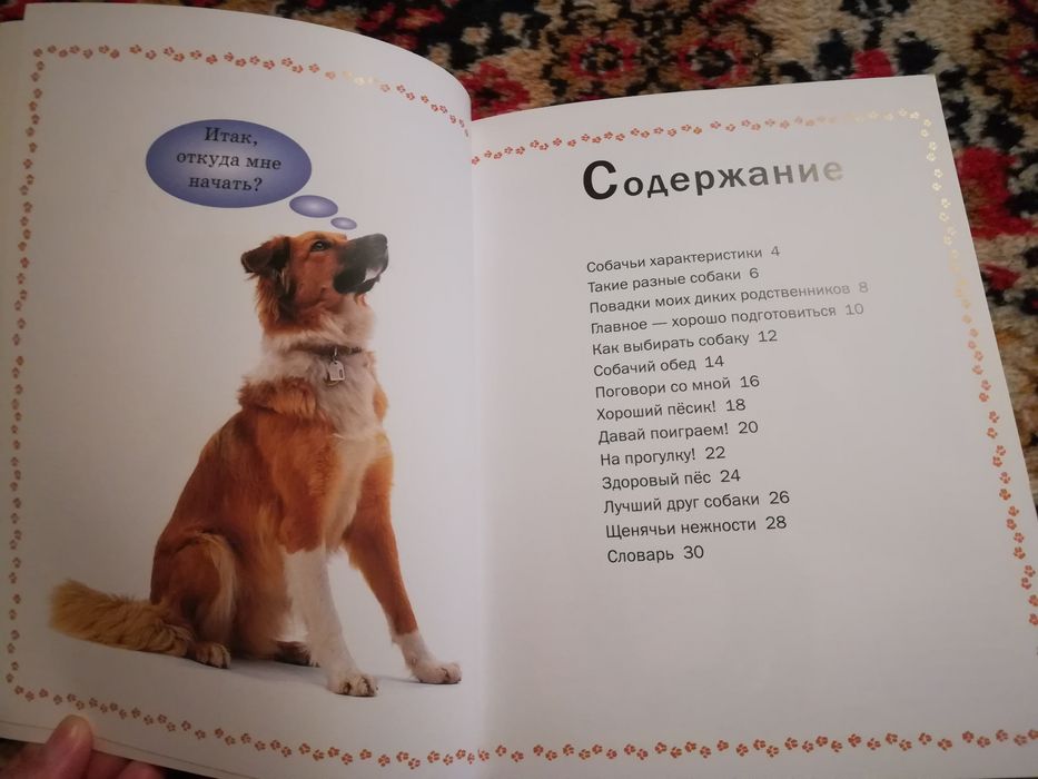 Книга по уходу собаки