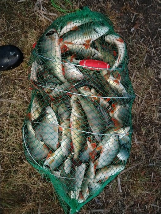 Рыбалка,выезд на рыбалку