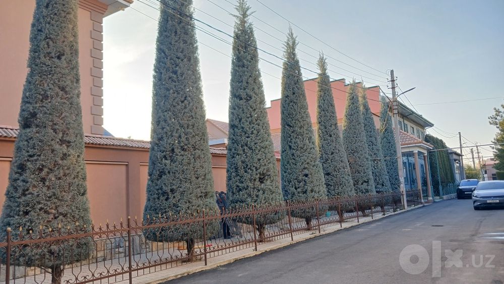 Archa kesish va Gazon ikkish dorilash xizmati