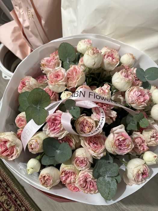 Алма сити 3 те тур свежые бугин келген