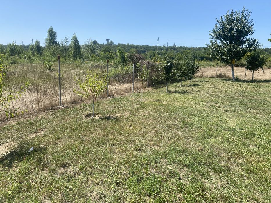 Teren intravilan Bacau