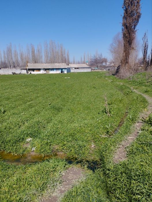 Тошкент вилояти, Бўка туманида 33 сотихли ер майдони сотилади.