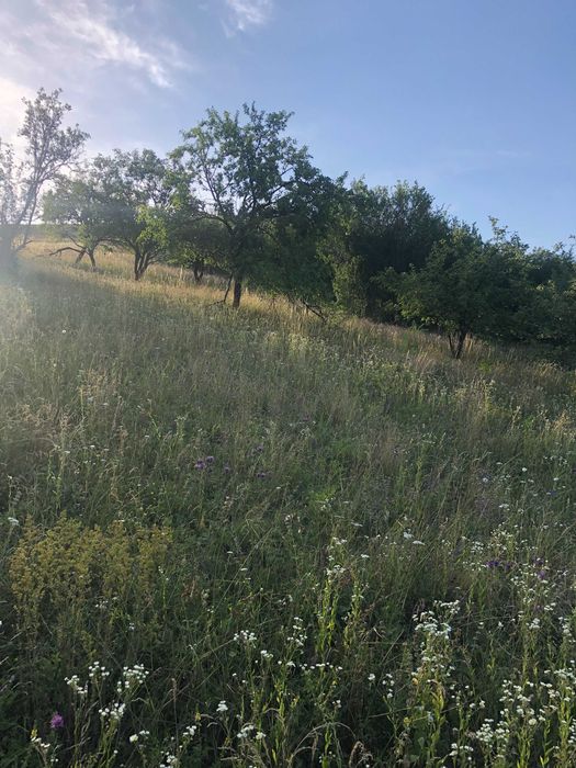 Teren Dezmir 2900mp aproape de centrul satului