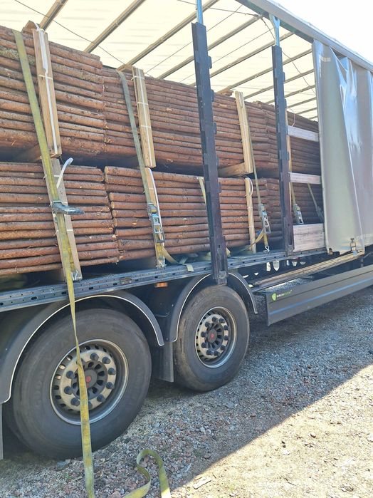 Bile-manele,stalpi rasinoase