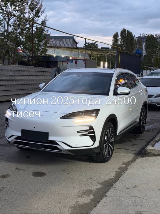 Other Song Pro DM-i Champion 2024