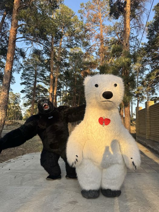 Аниматорные костюмы